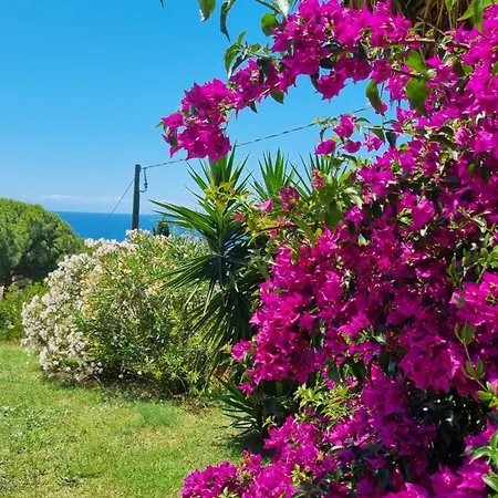 La Conchiglia Apartamento Capoliveri (Isola d'Elba)