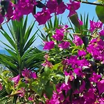 La Conchiglia * Capoliveri (Isola d'Elba)