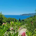 La Conchiglia Appartement Capoliveri (Isola d'Elba)