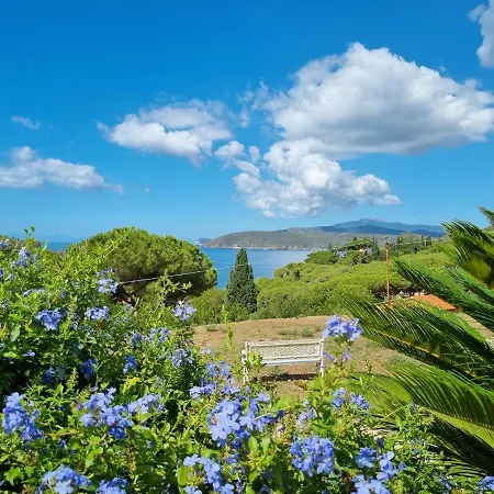 Daire La Conchiglia Capoliveri (Isola d'Elba)
